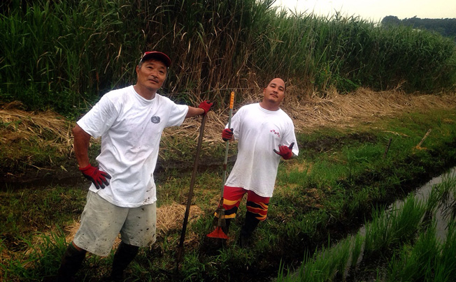 Beach Park 茅ヶ崎