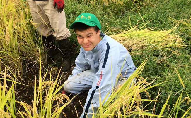 Beach Park 茅ヶ崎