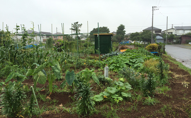 Beach Park 茅ヶ崎
