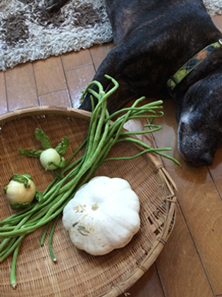 Beach Park 茅ヶ崎